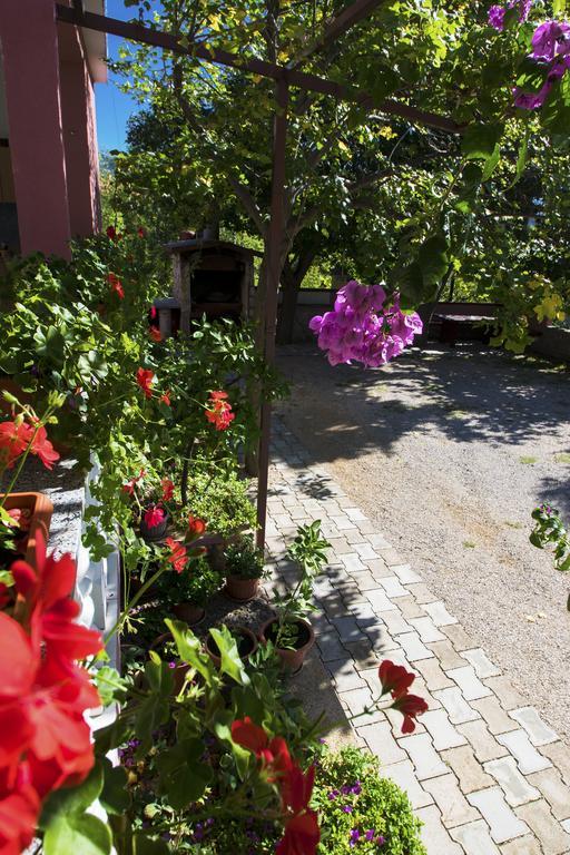 Apartments Zile Стариград-Пакленица Экстерьер фото
